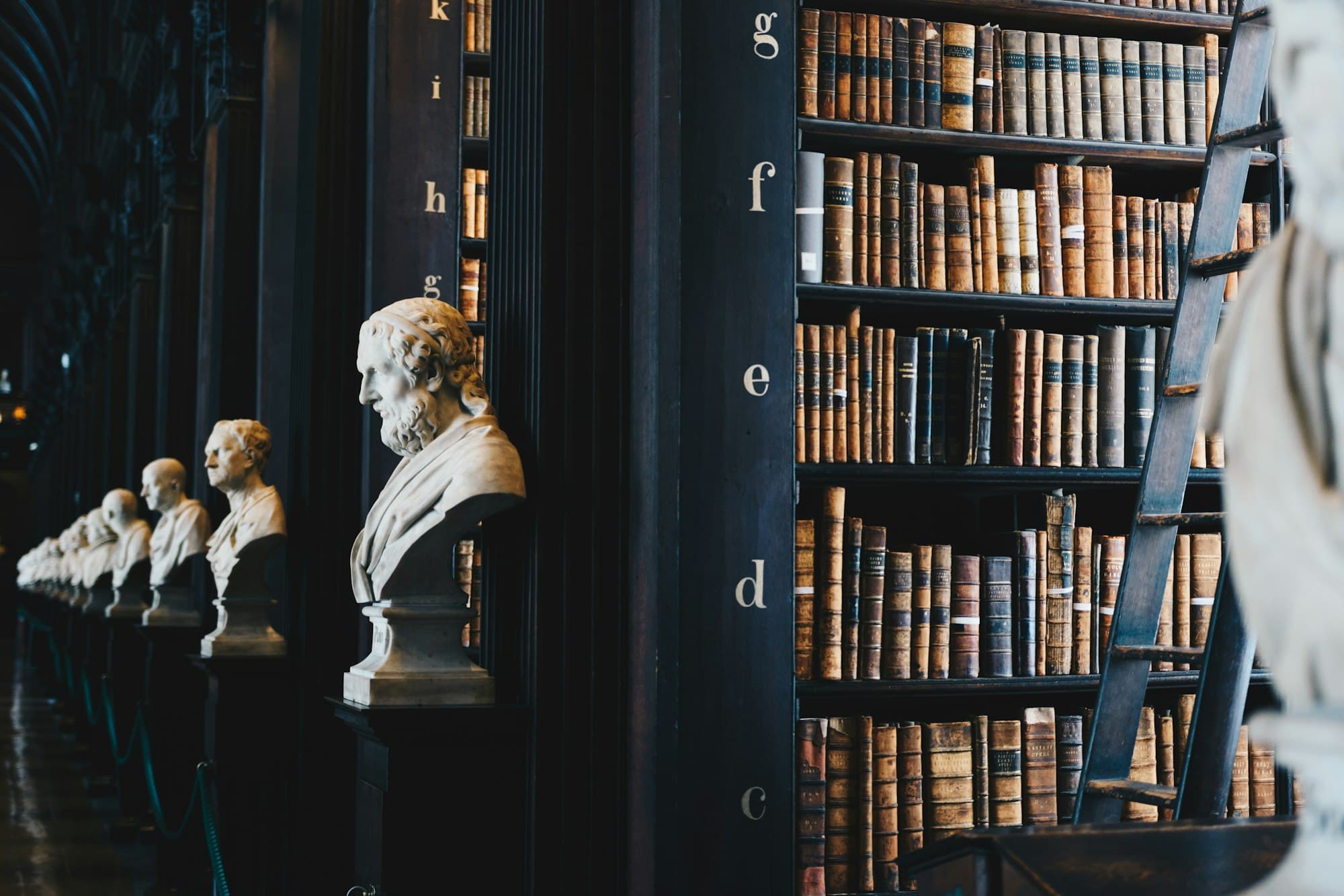 Biblioteca jurídica antiga com bustos de mármore e estantes de livros até ao teto